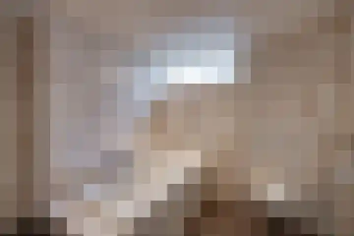 Juralaan 52 Tilburg thumbnail 32