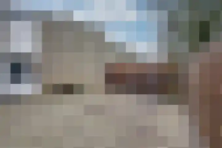 Juralaan 52 Tilburg thumbnail 39