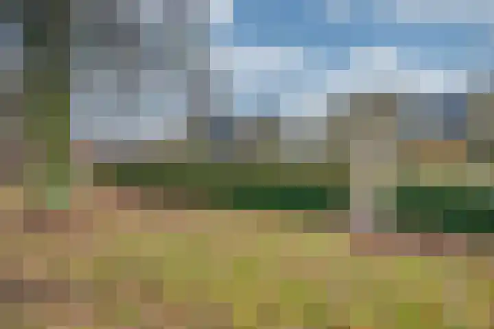Juralaan 52 Tilburg thumbnail 43