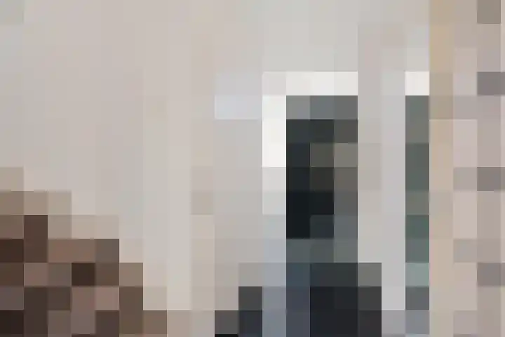 Juralaan 8 Eindhoven thumbnail 6