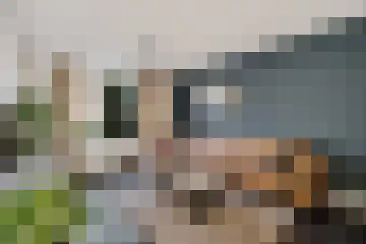 Juralaan 8 Eindhoven thumbnail 8