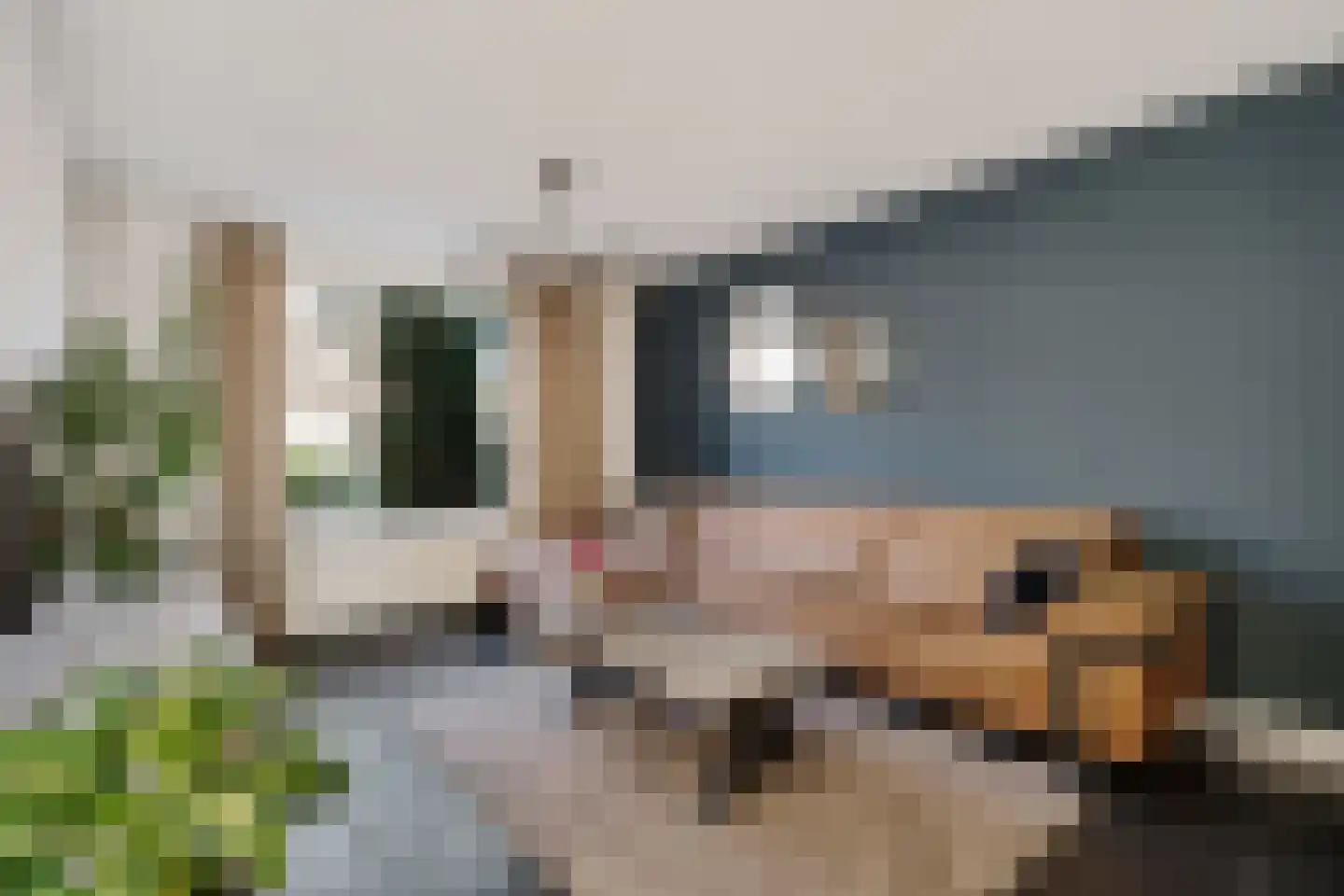 Juralaan 8 Eindhoven thumbnail 8