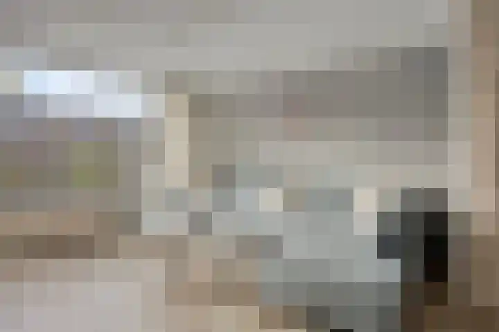 Juraweide 375 Tilburg thumbnail 13