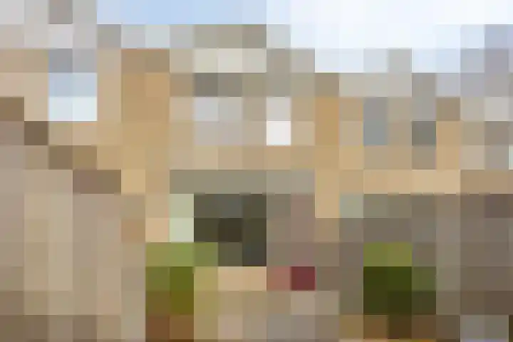 Juraweide 375 Tilburg thumbnail 36