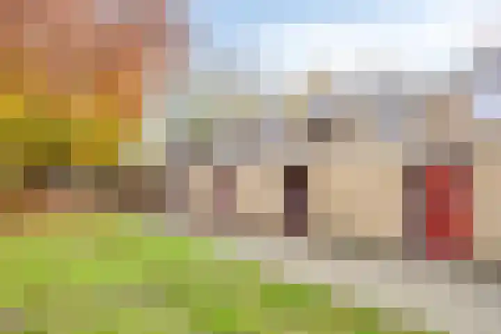 Juraweide 375 Tilburg thumbnail 37