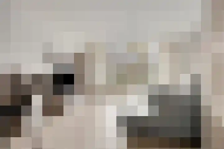 Juraweide 375 Tilburg thumbnail 4