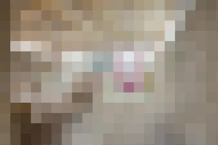 Juraweide 375 Tilburg thumbnail 7
