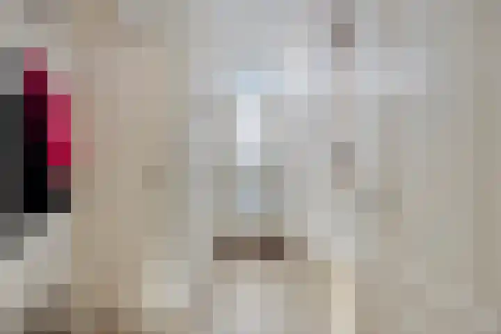 Juraweide 375 Tilburg thumbnail 9