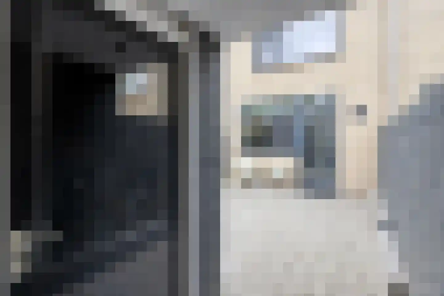 Juraweide 395 Tilburg thumbnail 11
