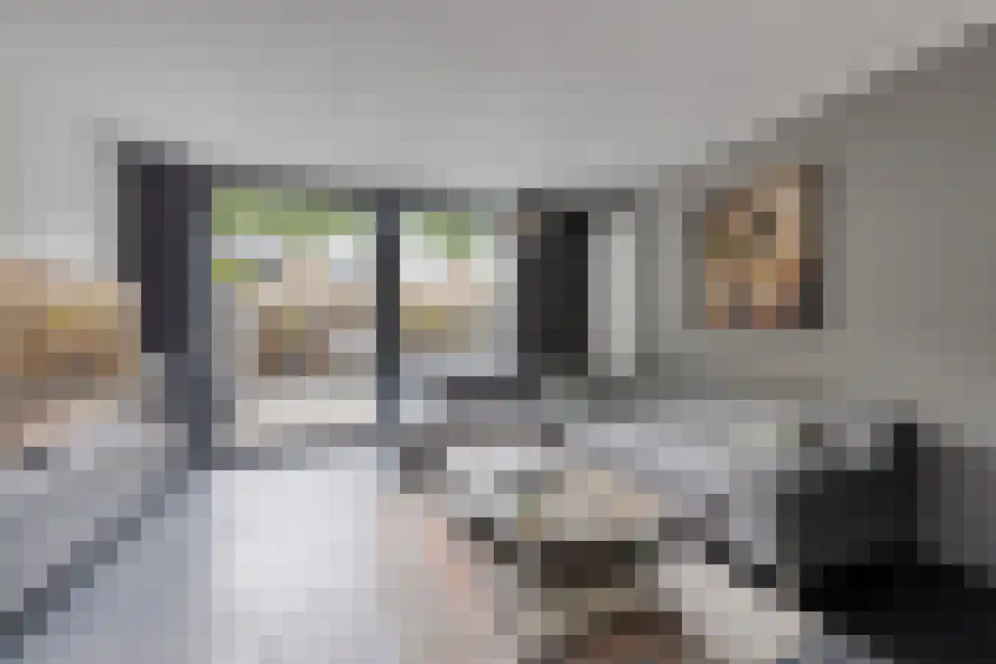 Juraweide 395 Tilburg thumbnail 17