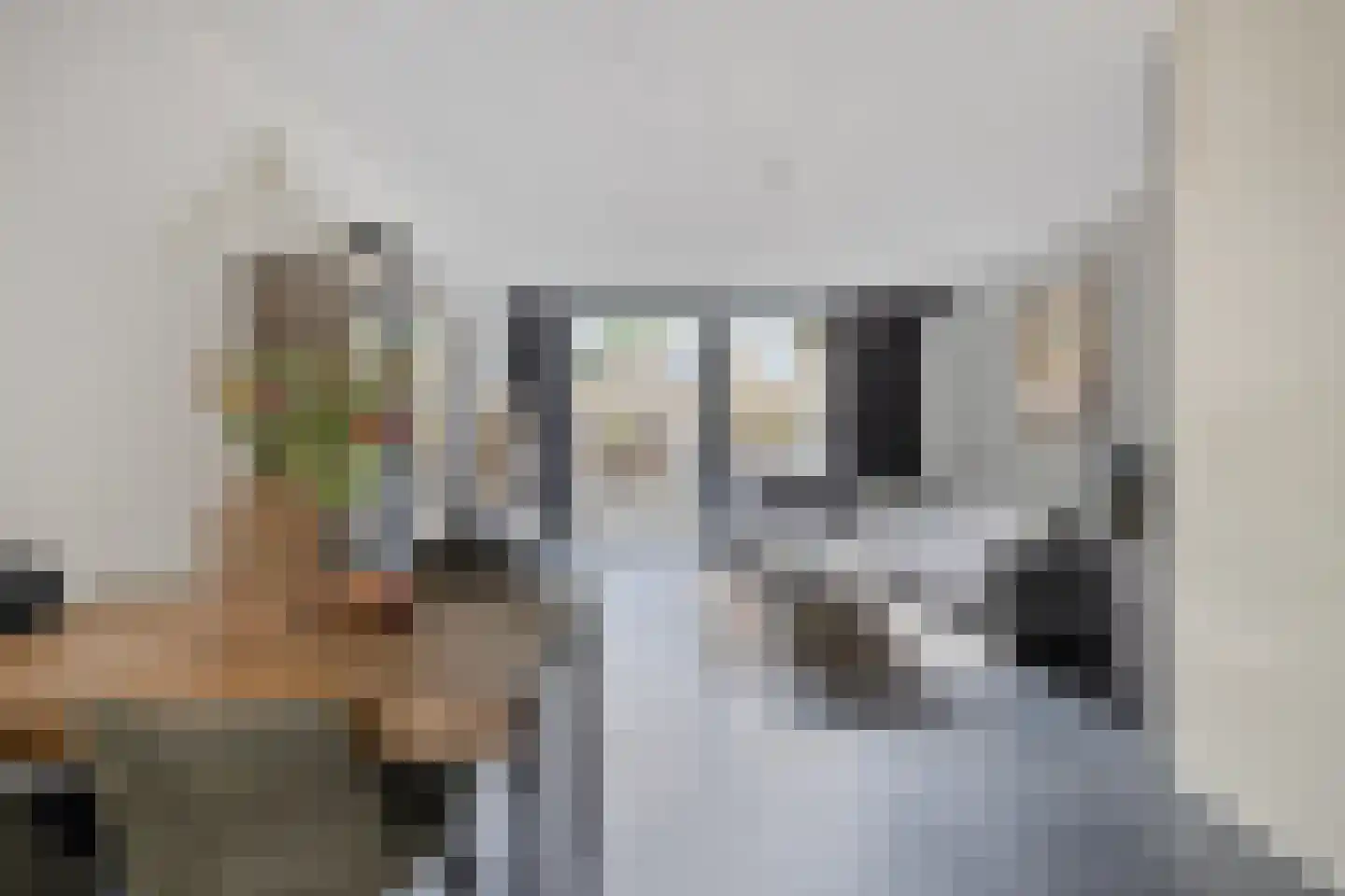 Juraweide 395 Tilburg thumbnail 22