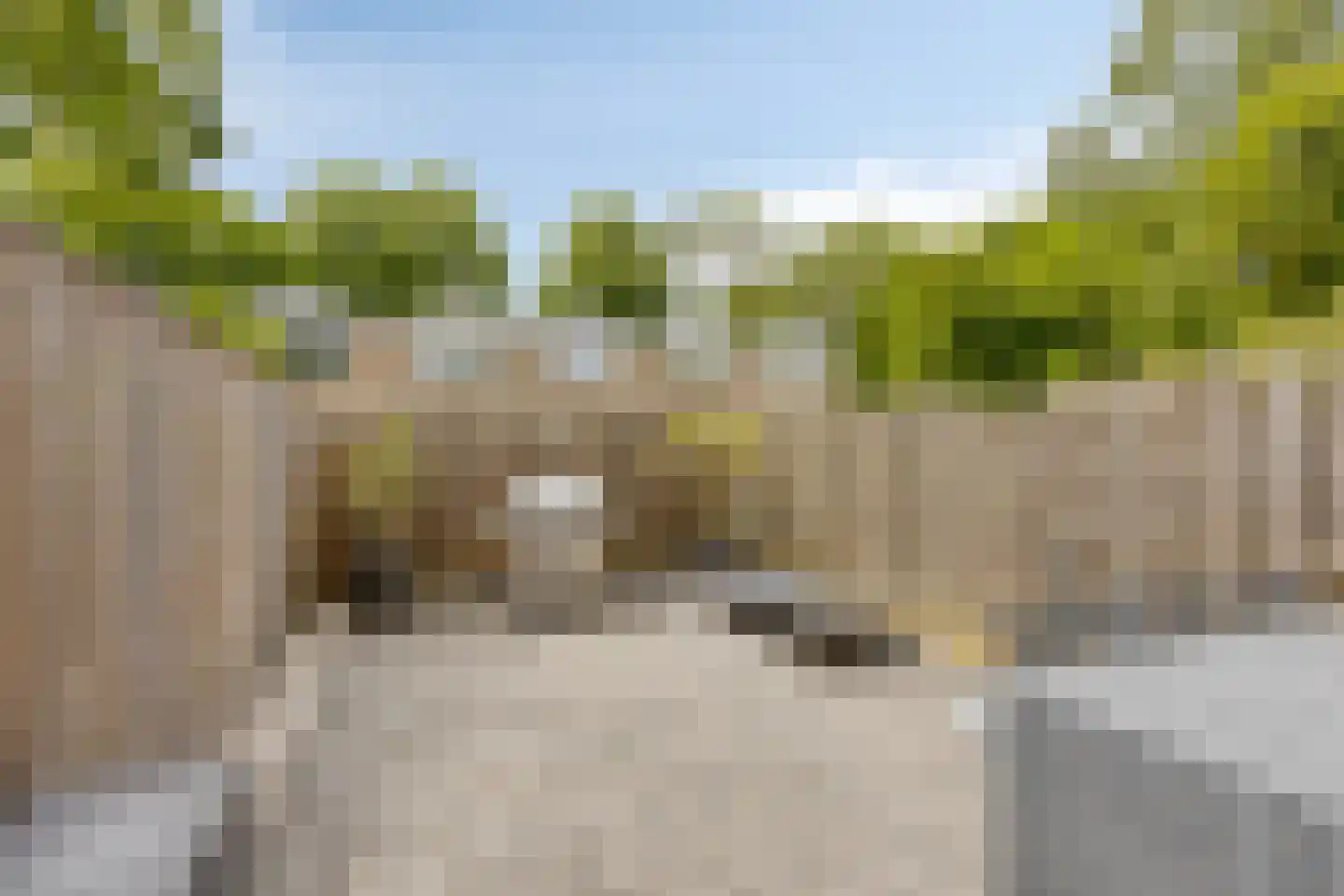 Juraweide 395 Tilburg thumbnail 39