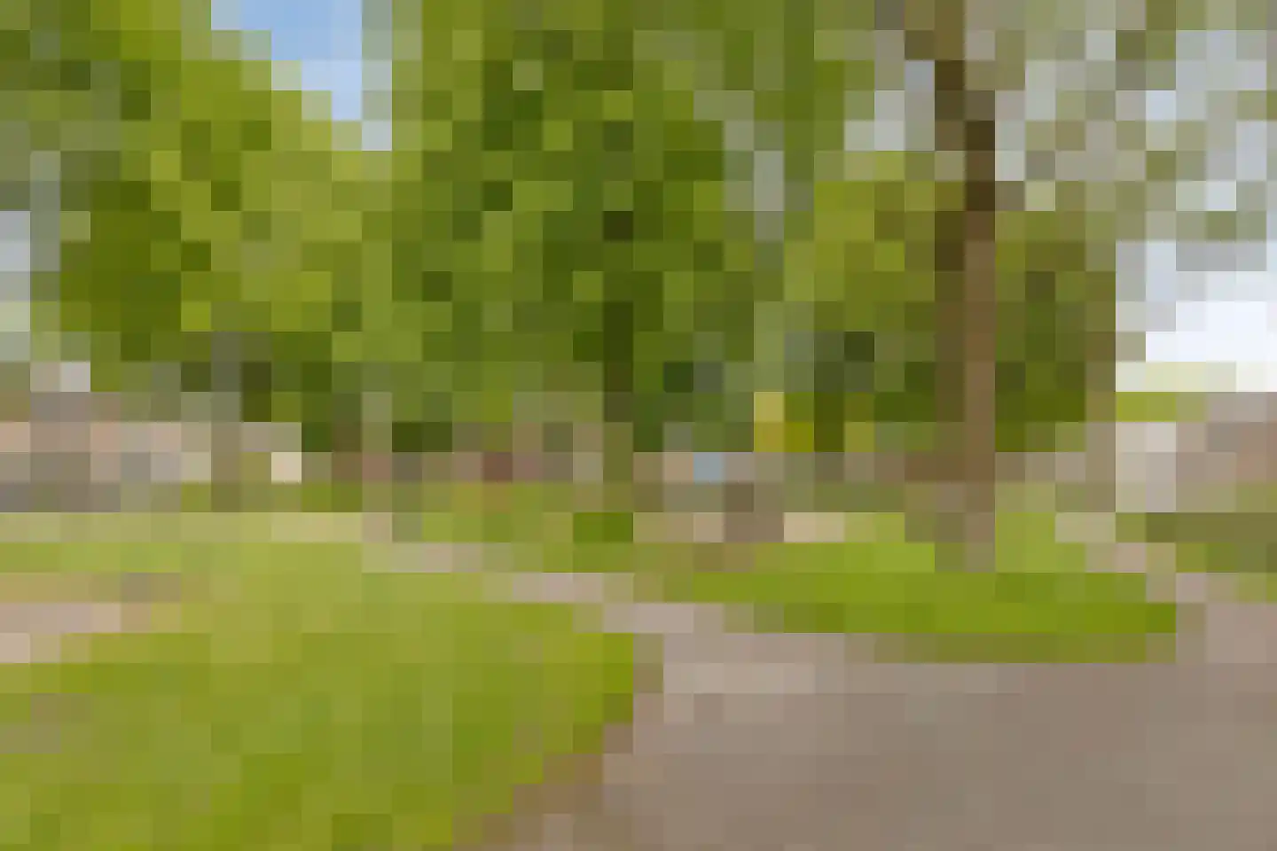 Juraweide 395 Tilburg thumbnail 47