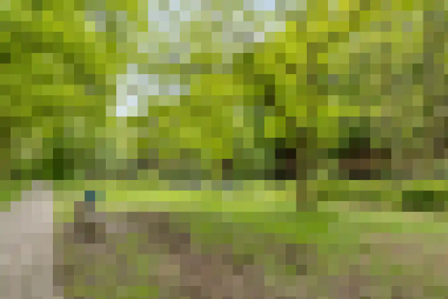 Juraweide 395 Tilburg thumbnail 48