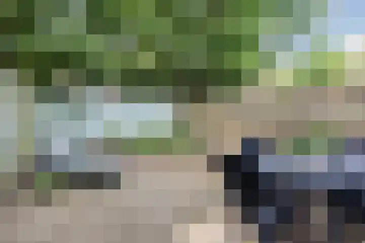 Juraweide 403 Tilburg thumbnail 22