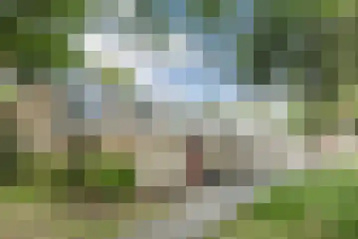 Juraweide 403 Tilburg thumbnail 25