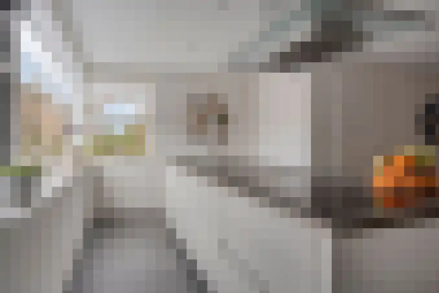 Jurgensstraat 19 Purmerend thumbnail 18