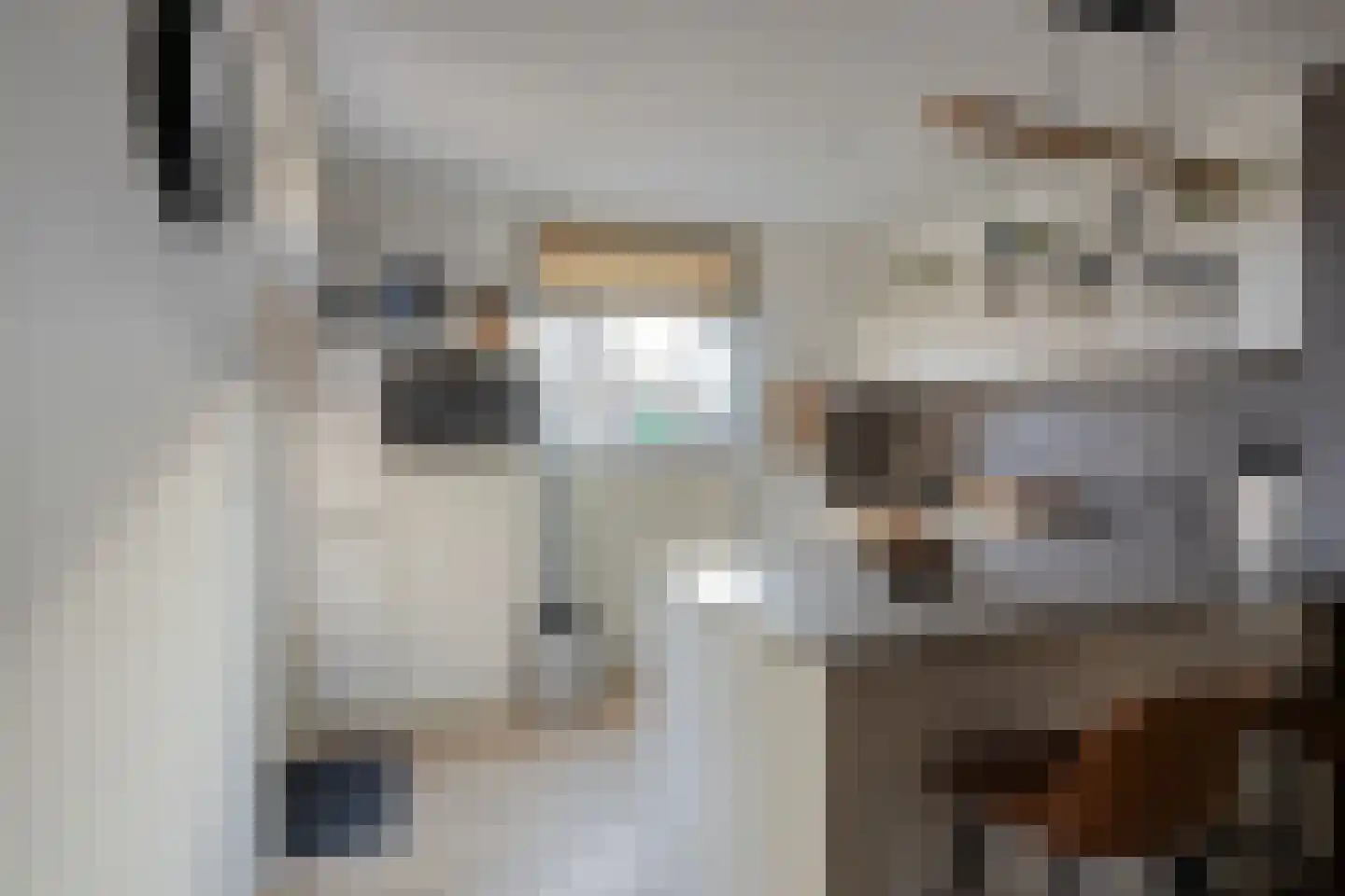 Jurgensstraat 45 Elsloo thumbnail 18