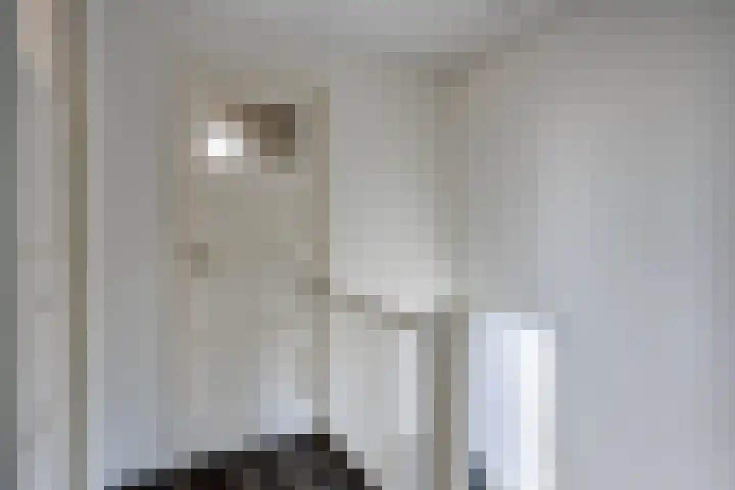 Jurgensstraat 45 Elsloo thumbnail 20