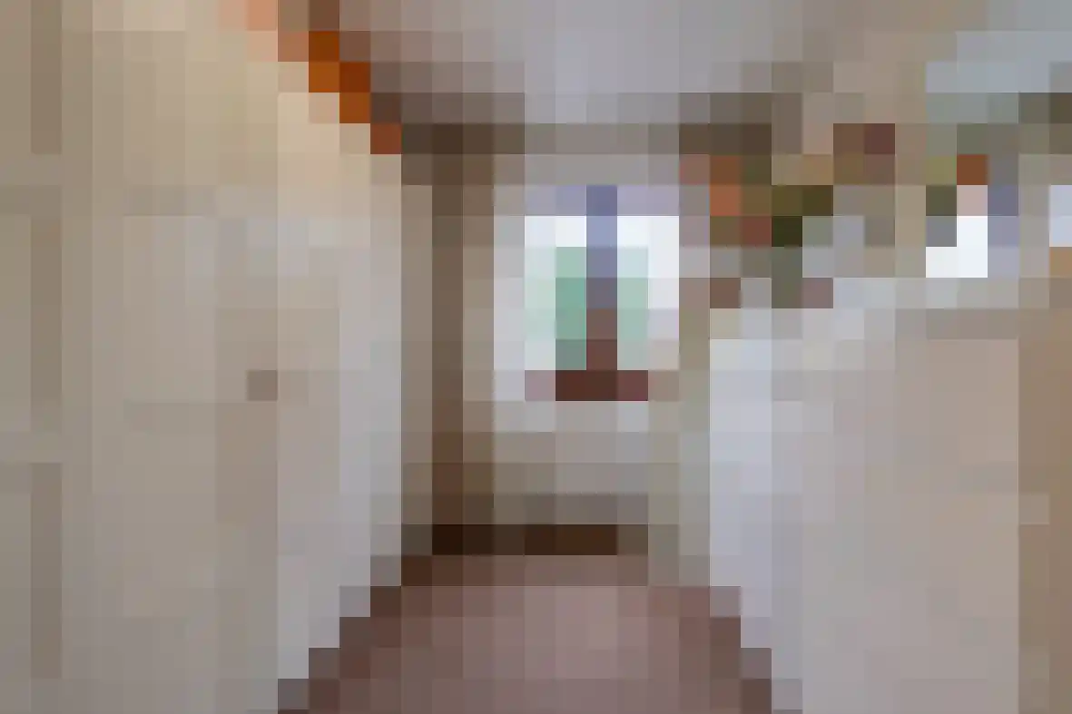 Jurgensstraat 46 Elsloo thumbnail 19