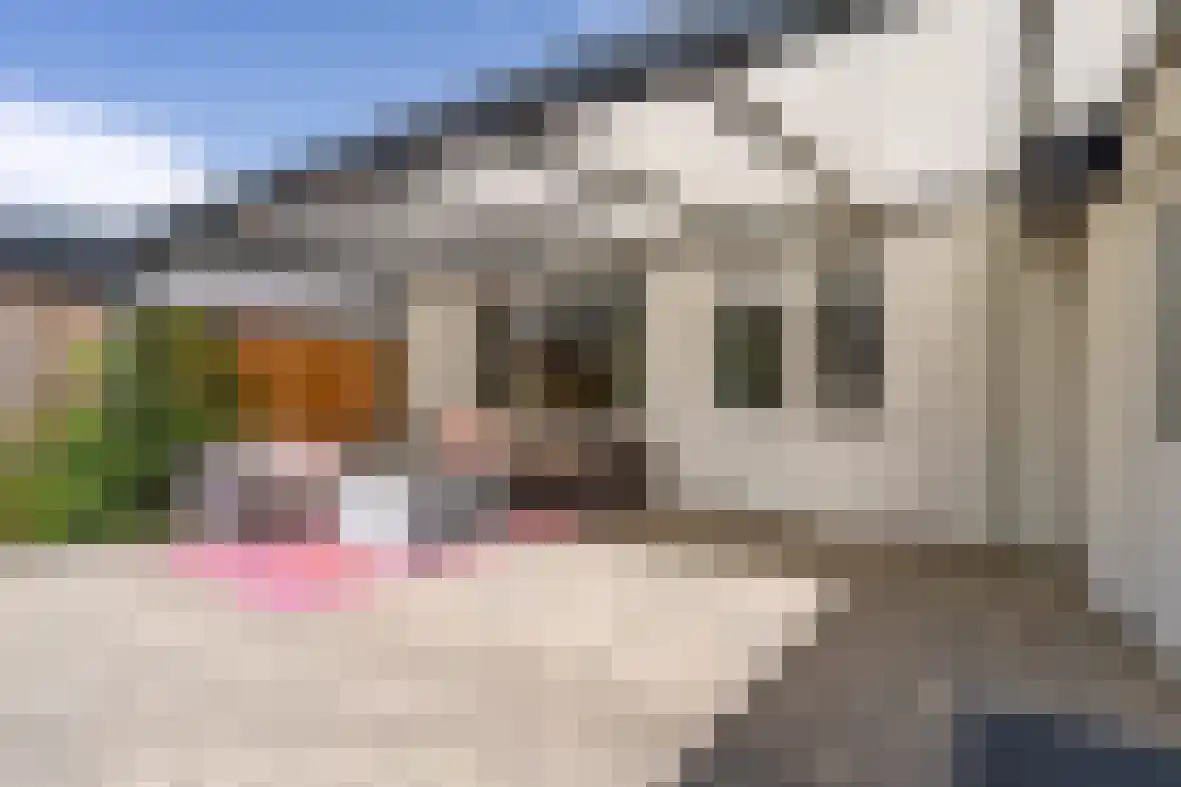 Jurgensstraat 46 Elsloo thumbnail 26