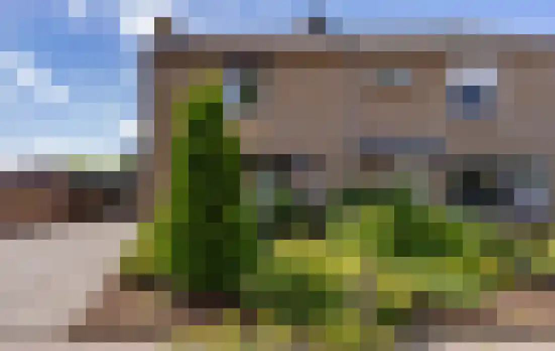 Jurgensstraat 46 Elsloo thumbnail 32