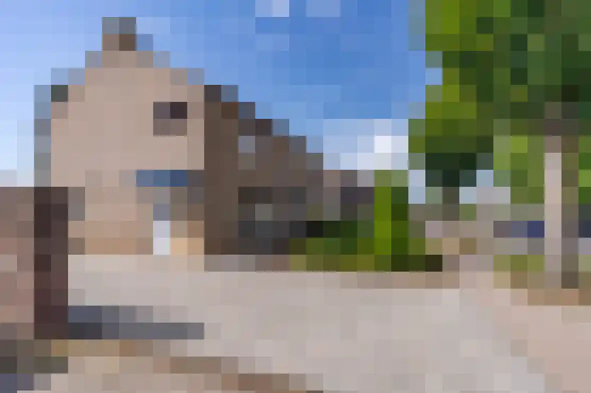 Jurgensstraat 46 Elsloo thumbnail 33