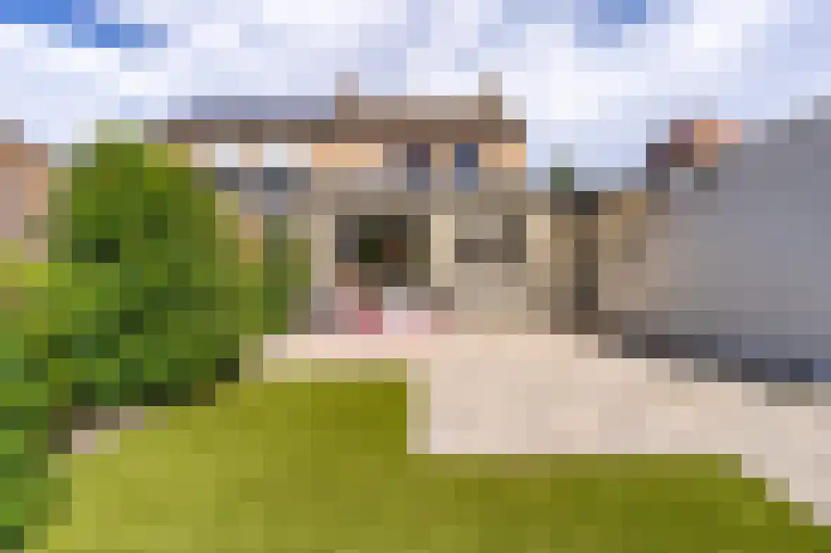 Jurgensstraat 46 Elsloo thumbnail 4