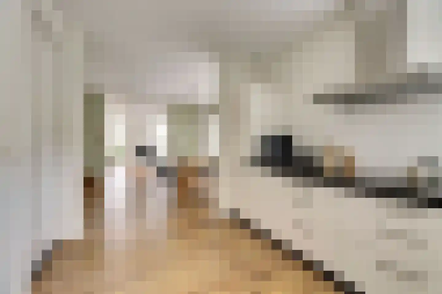 Jurjen de Jagerstrjitte 11 Workum thumbnail 13