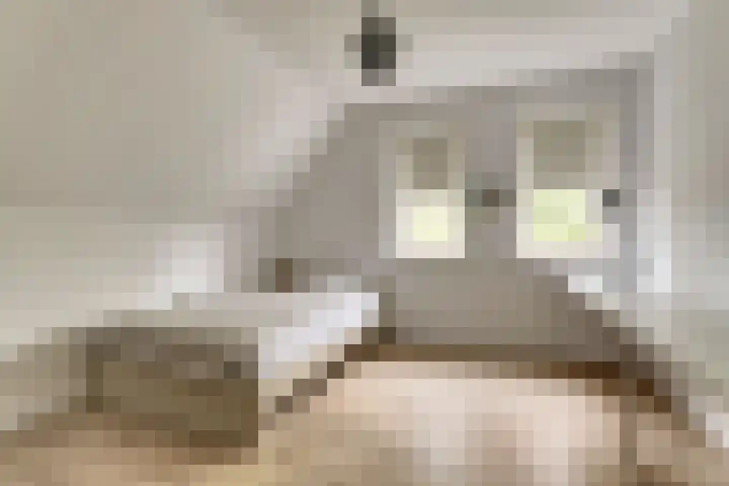 Jurjen de Jagerstrjitte 11 Workum thumbnail 18