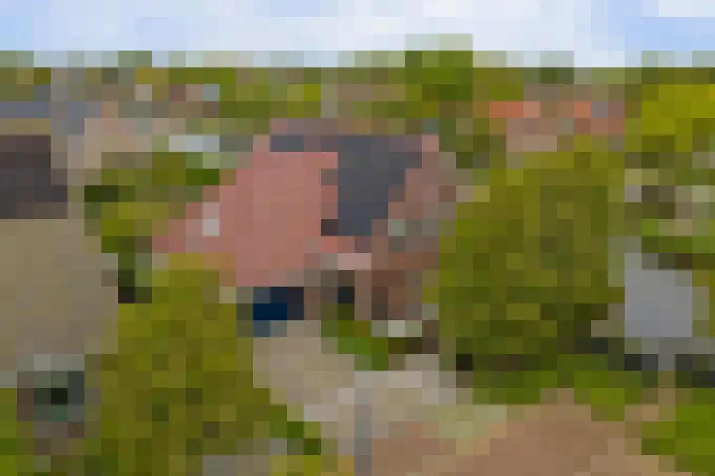 Jurjen de Jagerstrjitte 11 Workum thumbnail 39