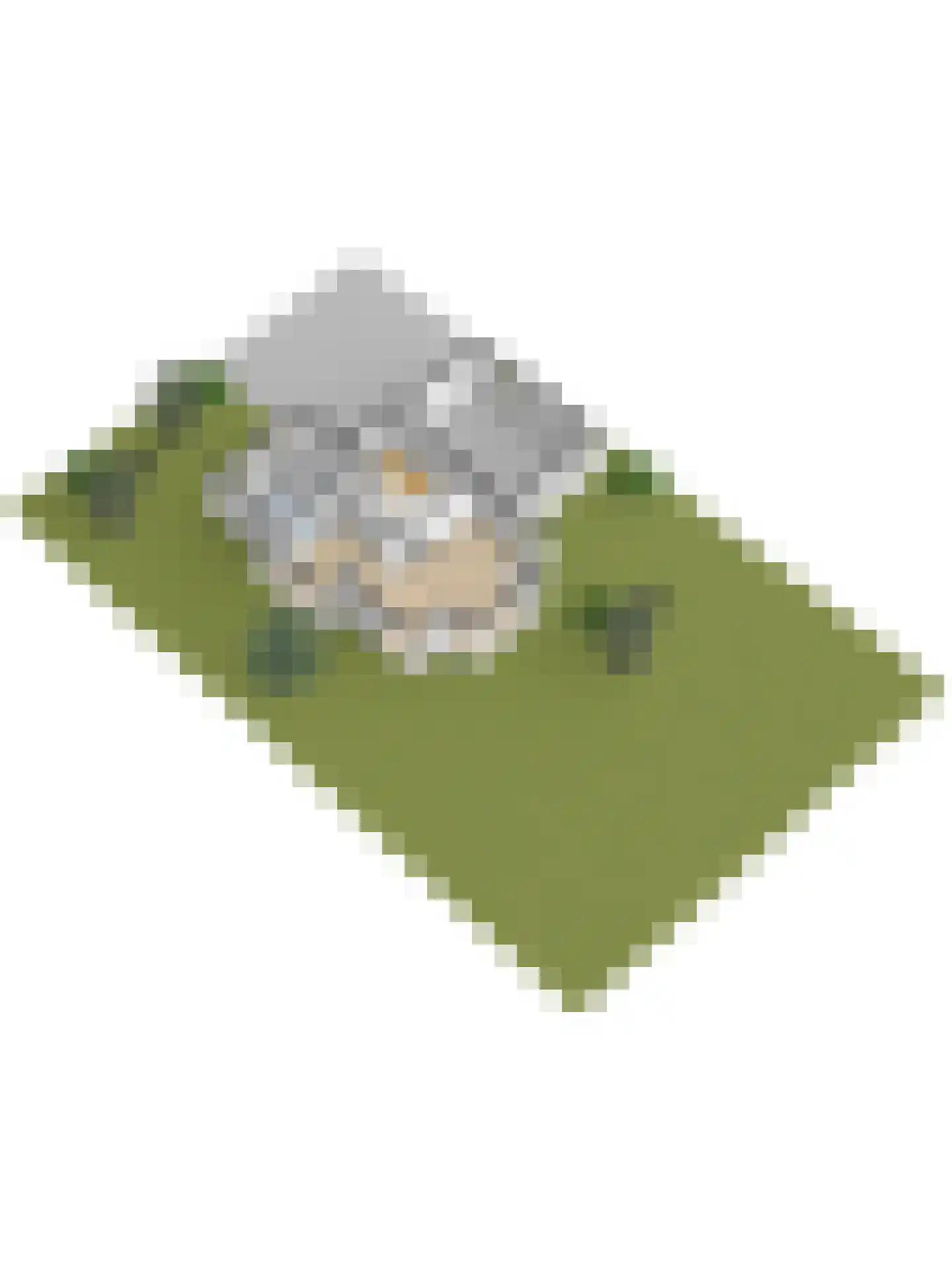 Jurjen de Jagerstrjitte 11 Workum thumbnail 51