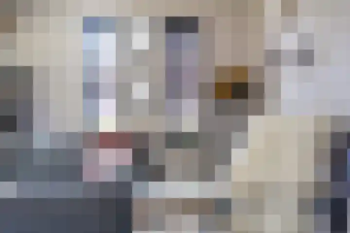 Jurjen de Jagerstrjitte 7 Workum thumbnail 17