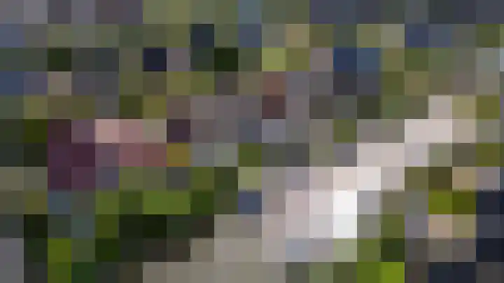 Jurjen de Jagerstrjitte 7 Workum thumbnail 29