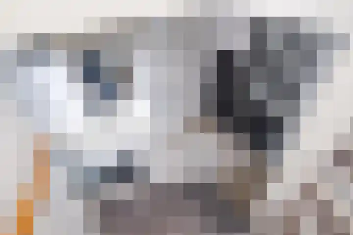 Jurjen de Jagerstrjitte 7 Workum thumbnail 39