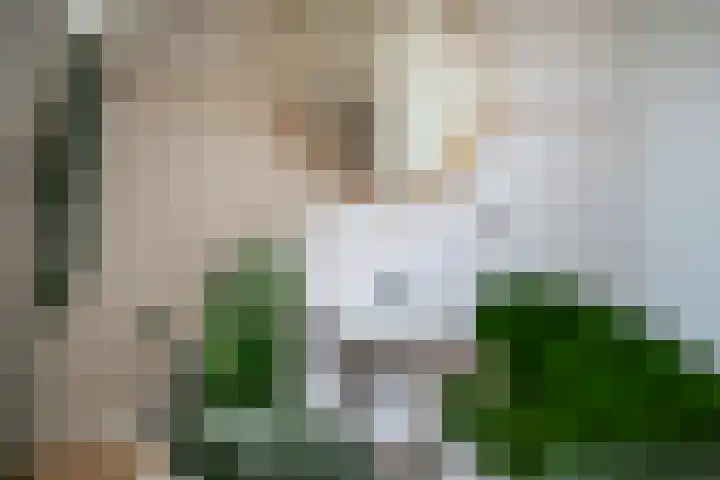 Jurjen de Jagerstrjitte 7 Workum thumbnail 45