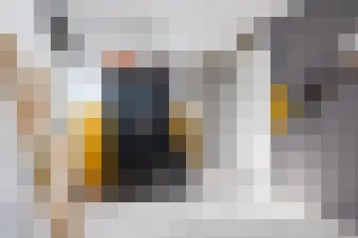 Jurjen de Jagerstrjitte 7 Workum thumbnail 51