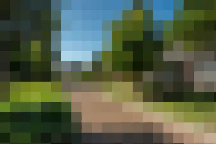 Jurjen de Jagerstrjitte 7 Workum thumbnail 68