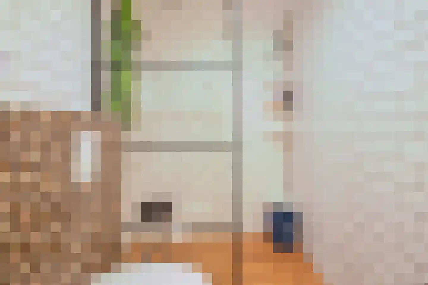 Jurriaan Kokstraat 133 Den Haag thumbnail 9