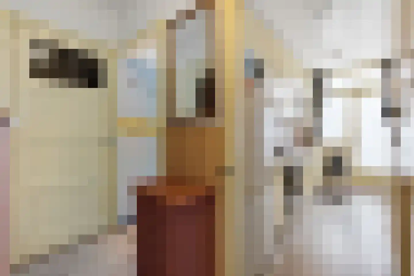Jurriaan Kokstraat 145 Den Haag thumbnail 7