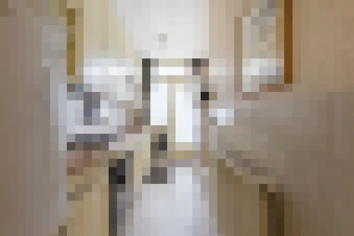 Jurriaan Kokstraat 145 Den Haag thumbnail 8