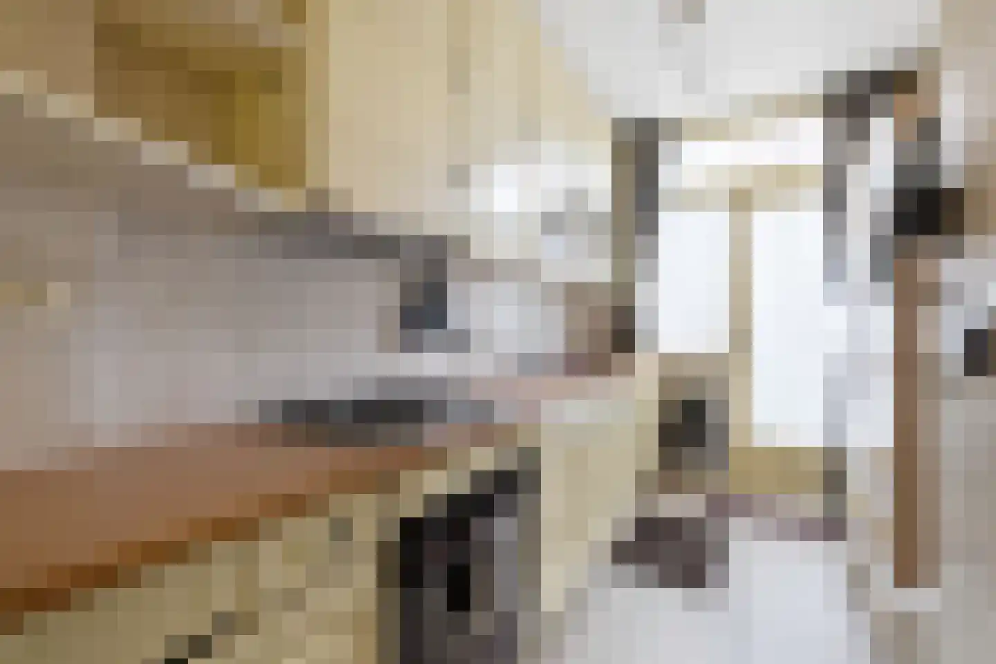 Jurriaan Kokstraat 145 Den Haag thumbnail 9