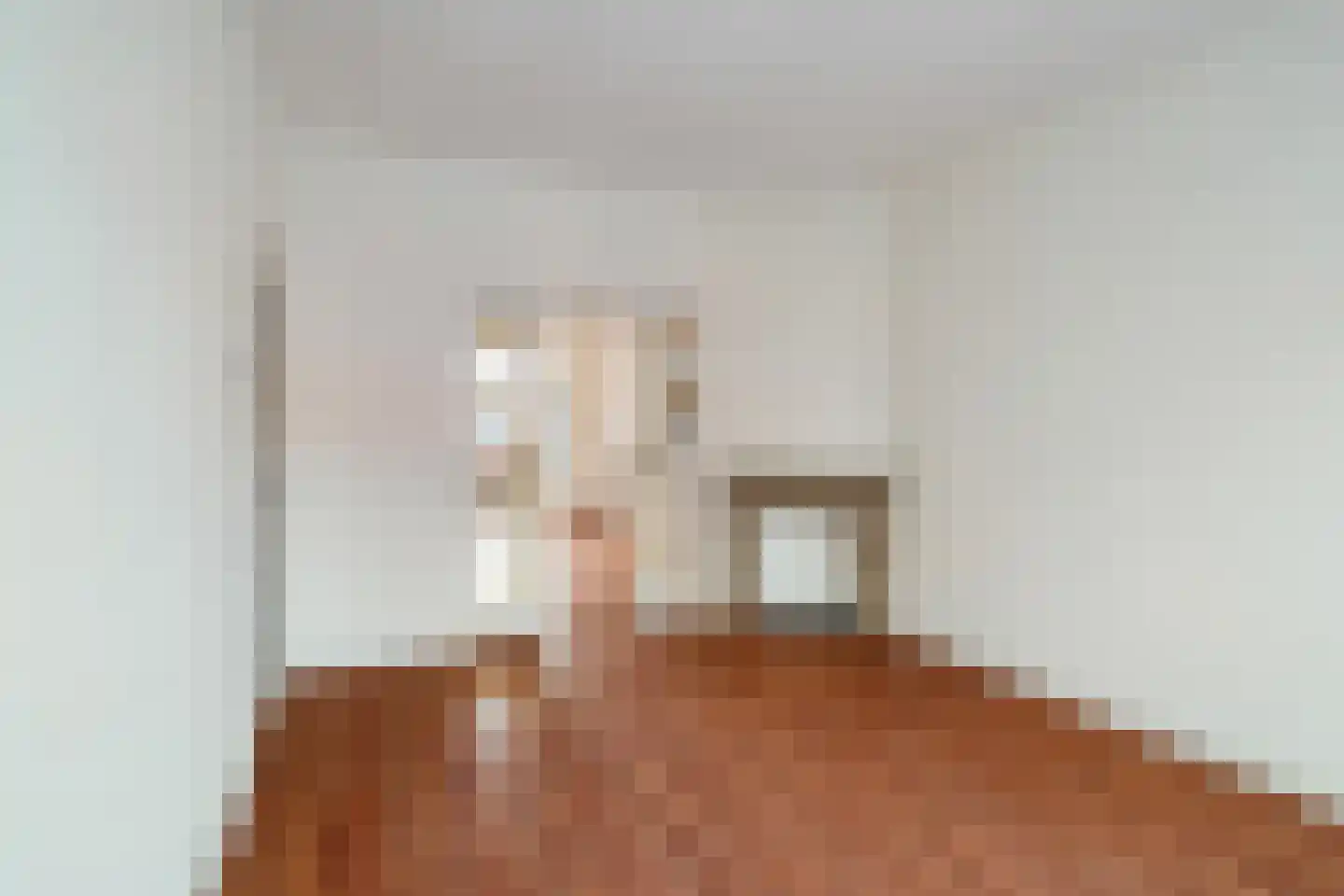 Jurriaan Kokstraat 252 Den Haag thumbnail 12
