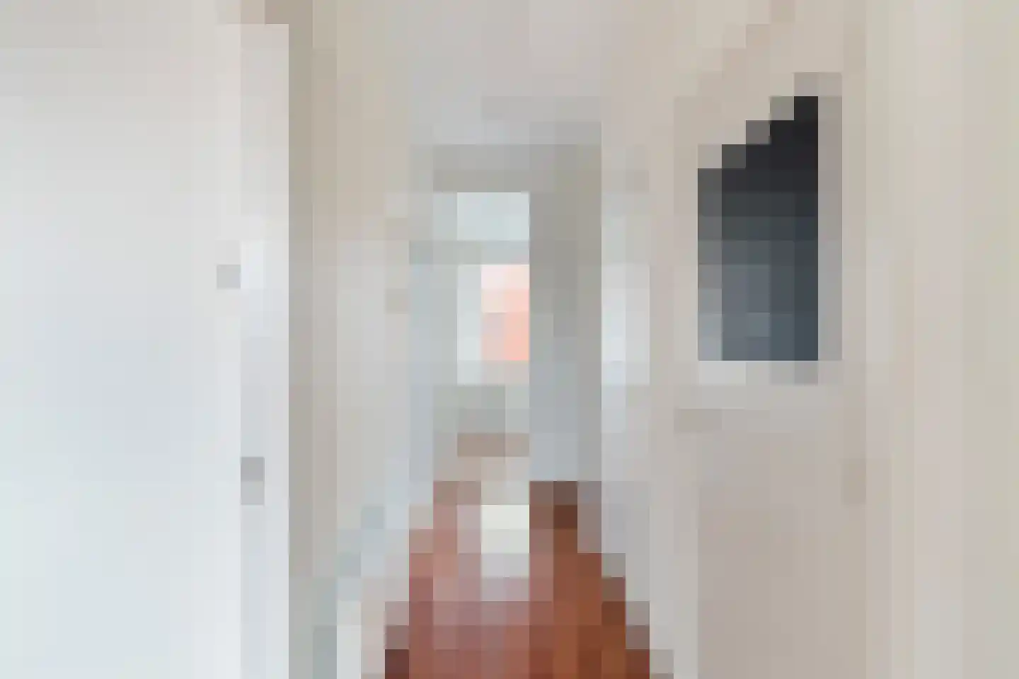 Jurriaan Kokstraat 252 Den Haag thumbnail 19