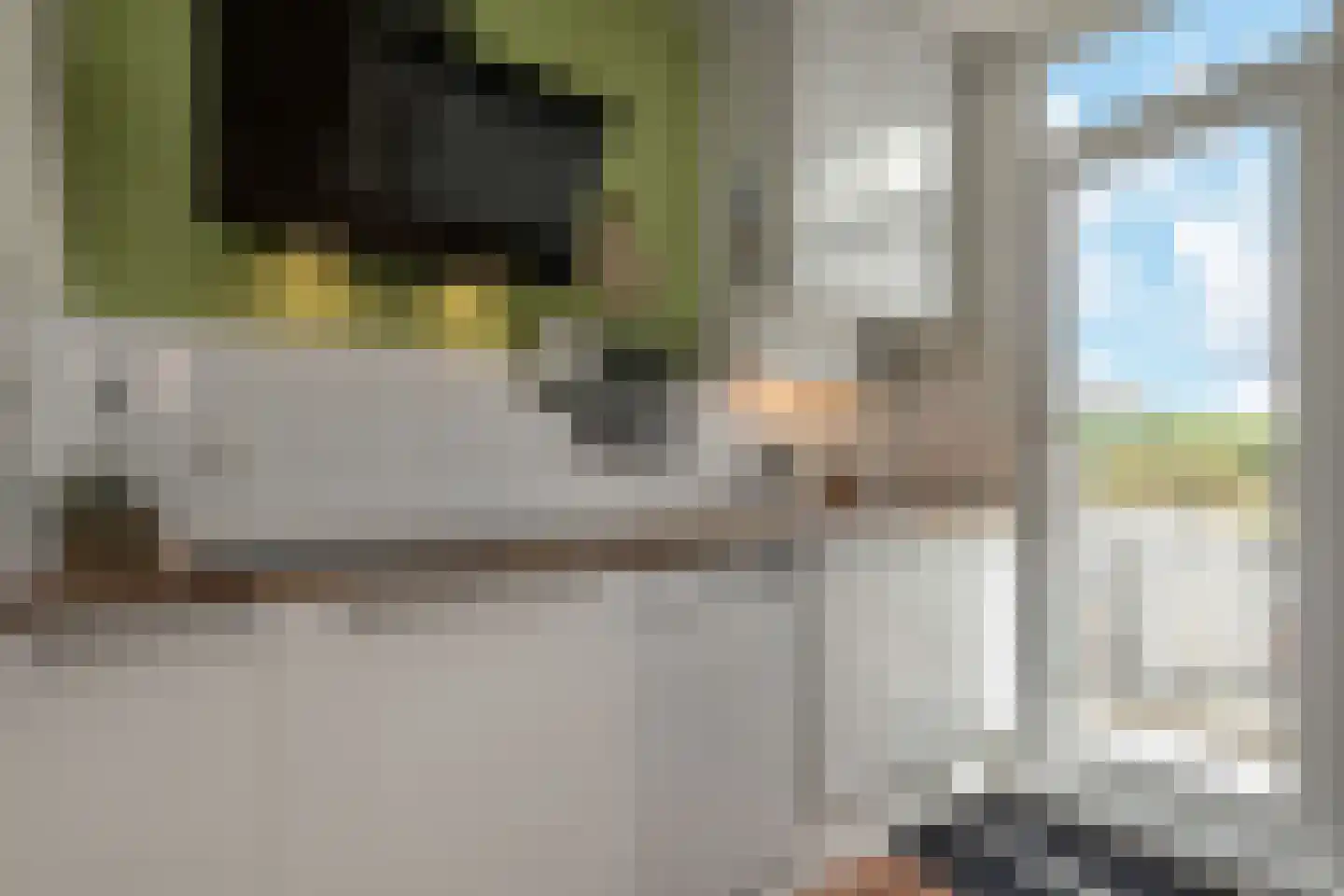 Jurriaan Kokstraat 292 Den Haag thumbnail 14