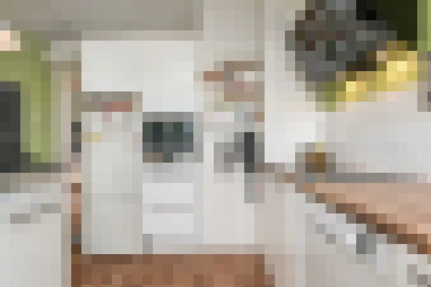 Jurriaan Kokstraat 292 Den Haag thumbnail 18