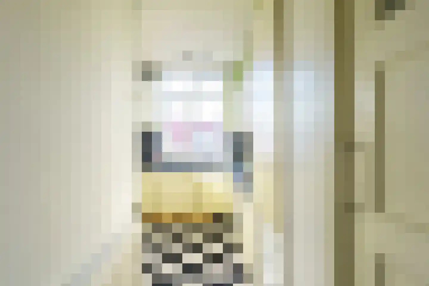 Jurriaan Kokstraat 97 Den Haag thumbnail 10