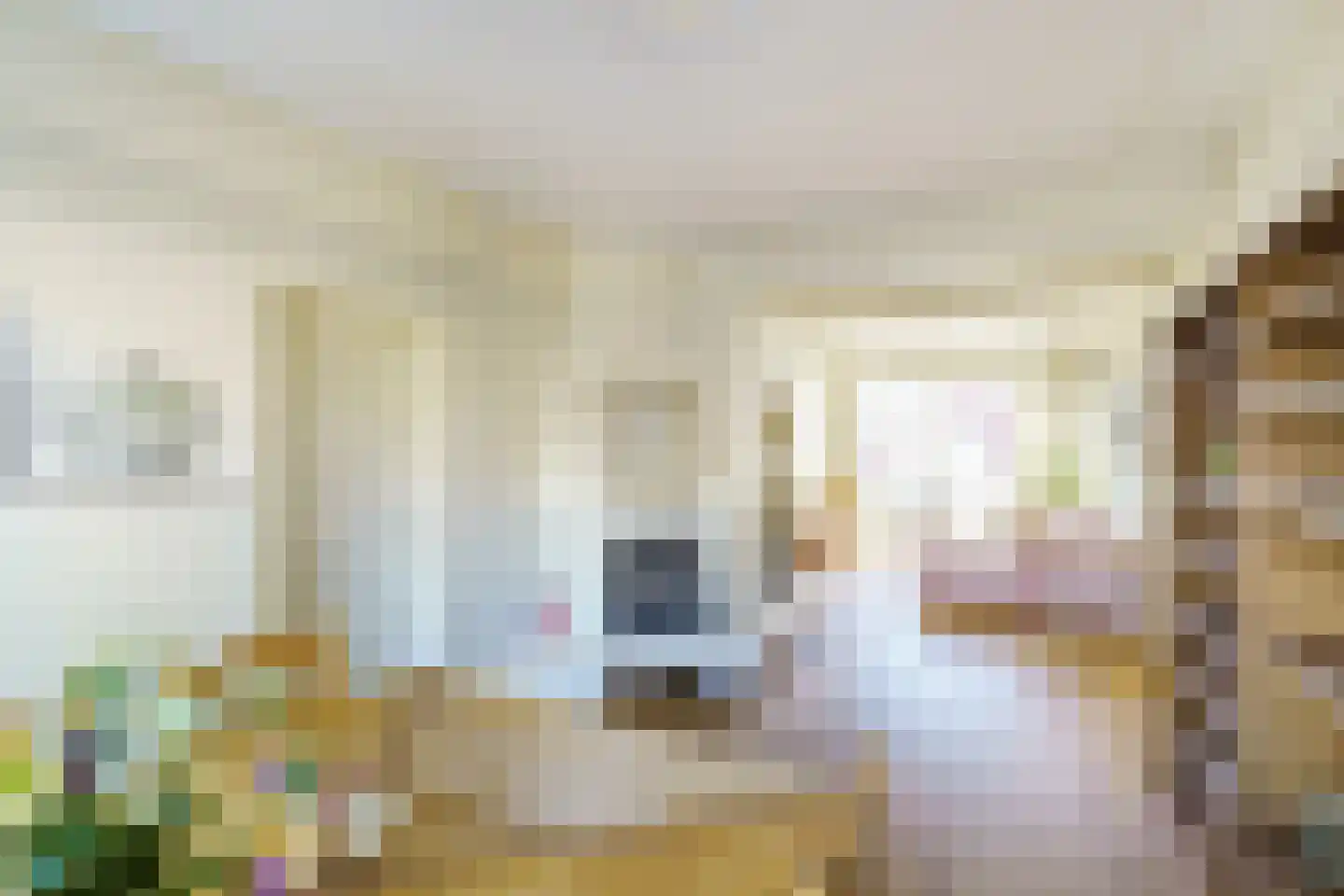 Jurriaan Kokstraat 97 Den Haag thumbnail 6