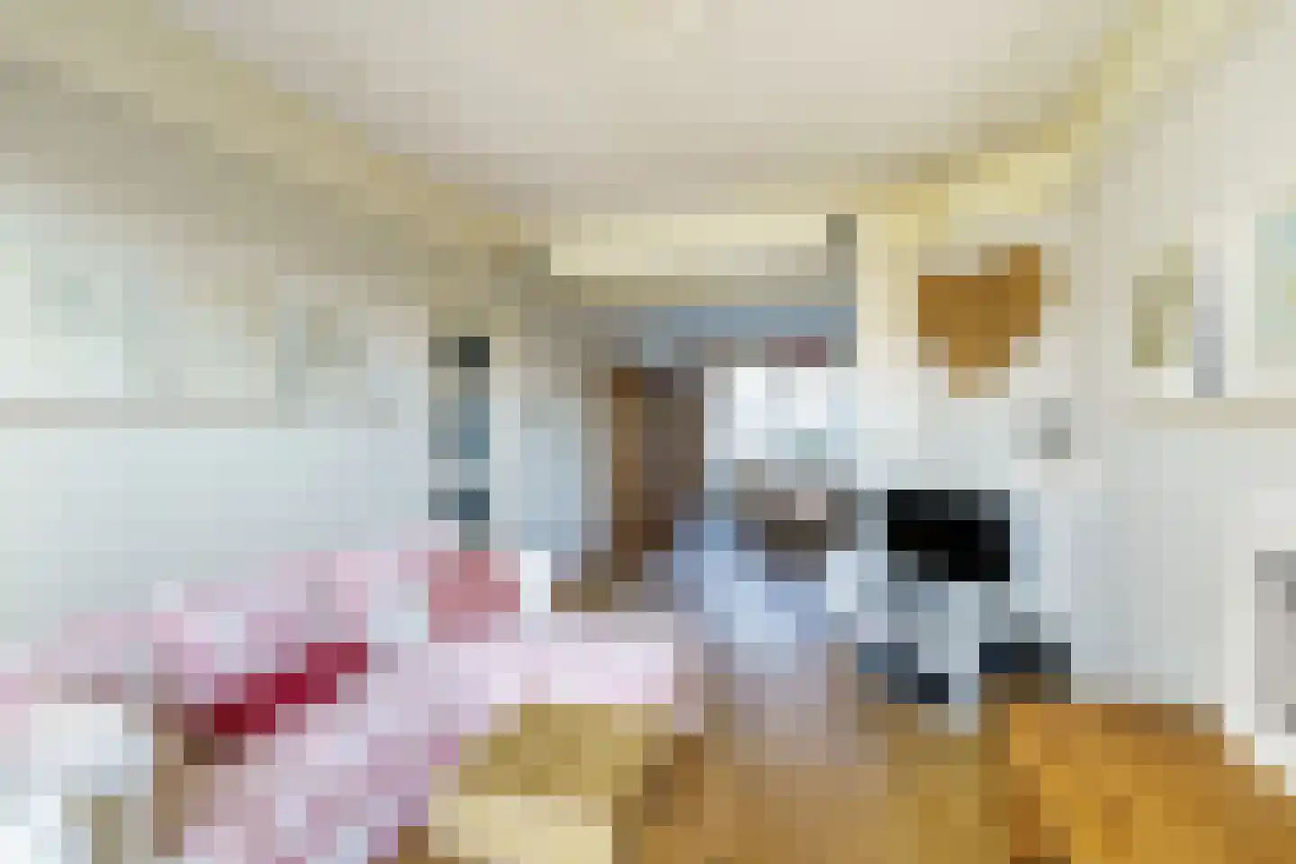 Jurriaan Kokstraat 97 Den Haag thumbnail 7