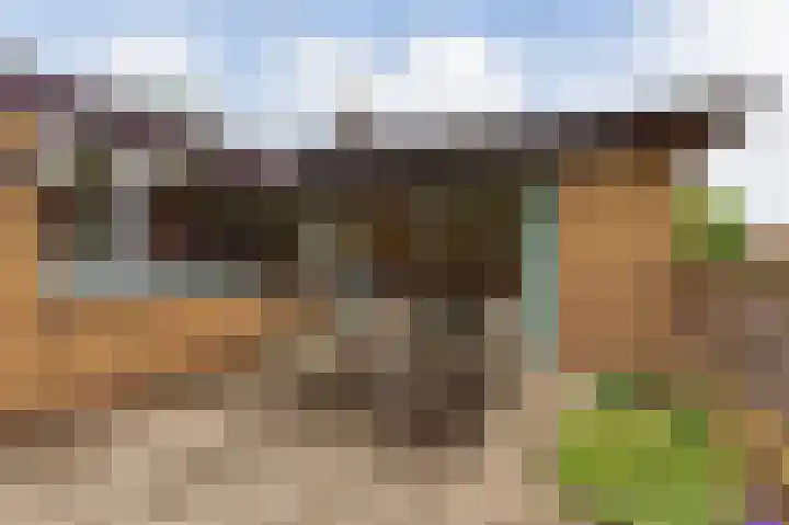 Jurriaandonk 35 Roosendaal thumbnail 22
